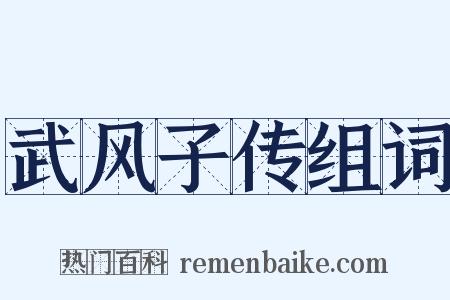 武风子传组词是什么意思的图片